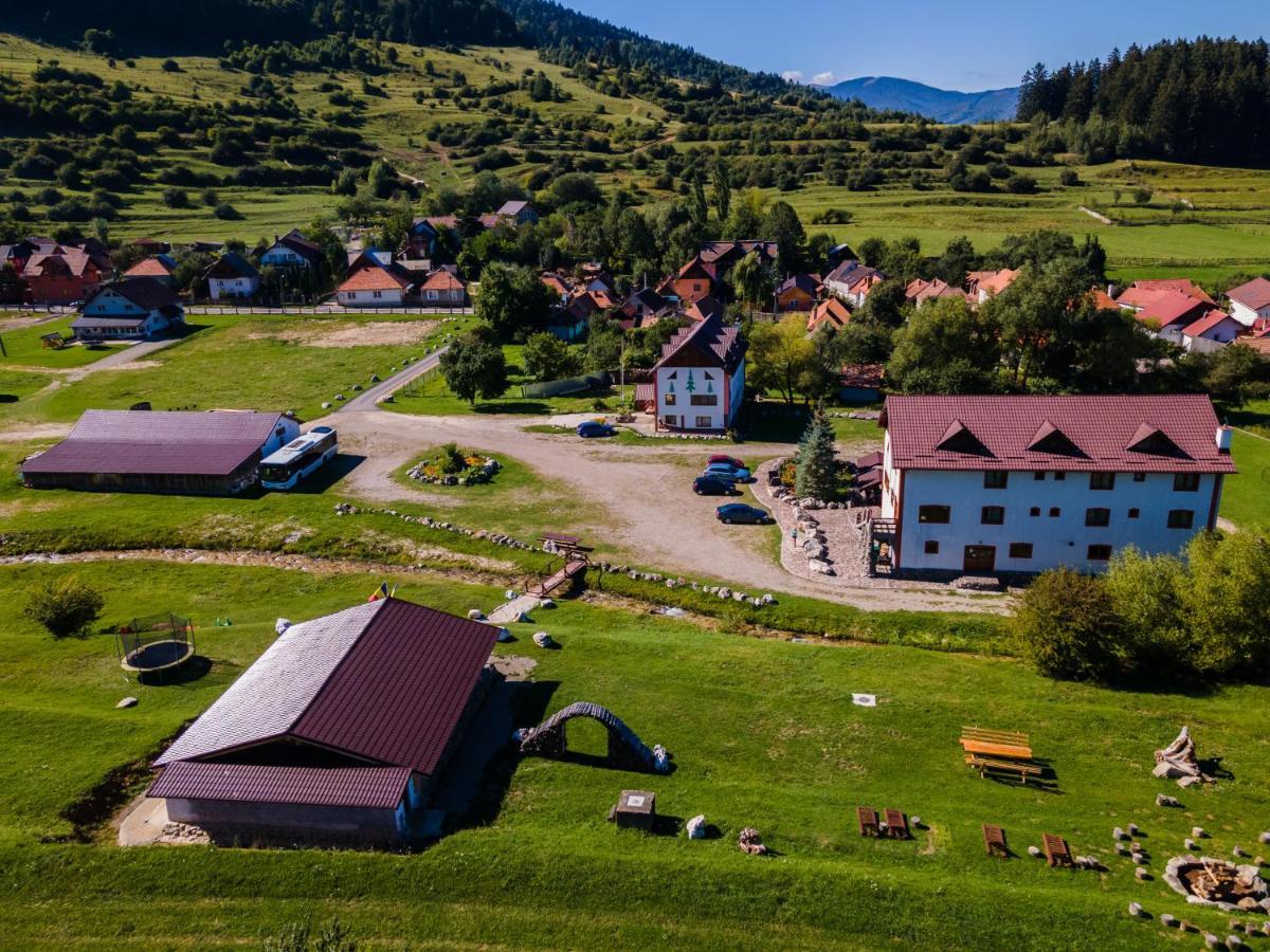 Pensiunea 3 Brazi Zărneşti 외부 사진