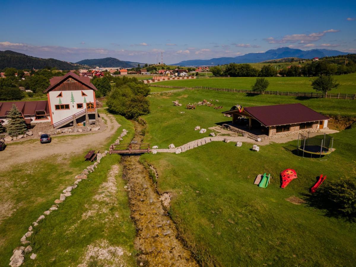 Pensiunea 3 Brazi Zărneşti 외부 사진