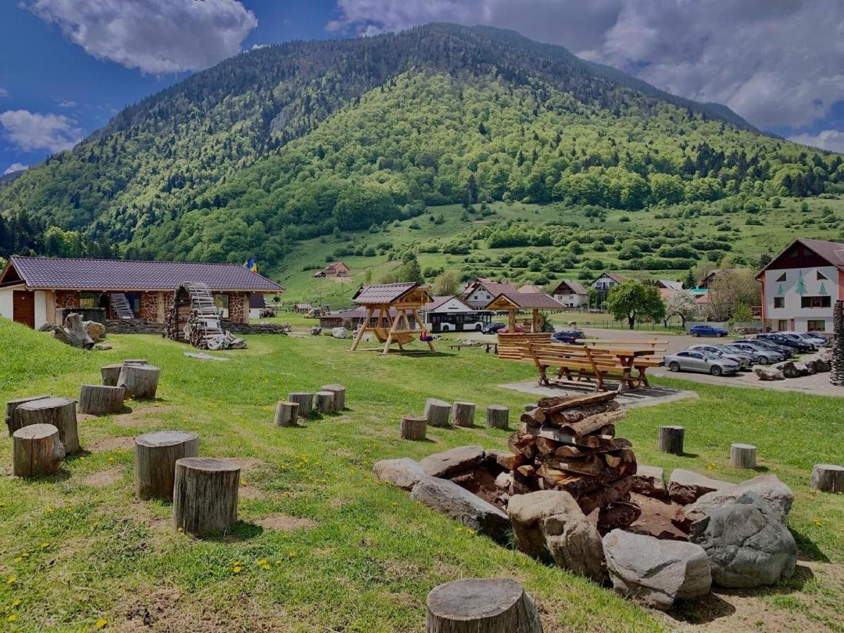 Pensiunea 3 Brazi Zărneşti 외부 사진