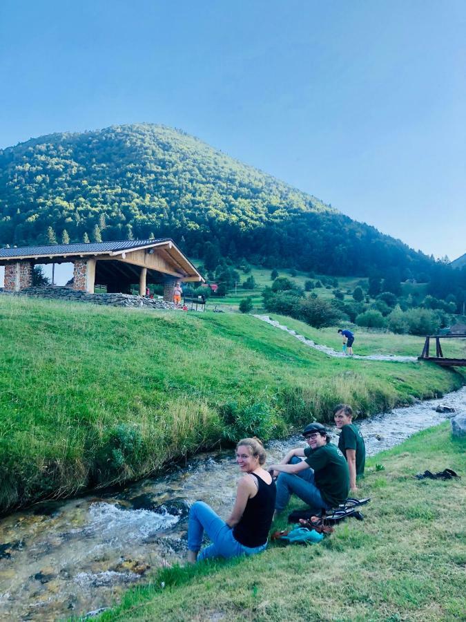 Pensiunea 3 Brazi Zărneşti 외부 사진