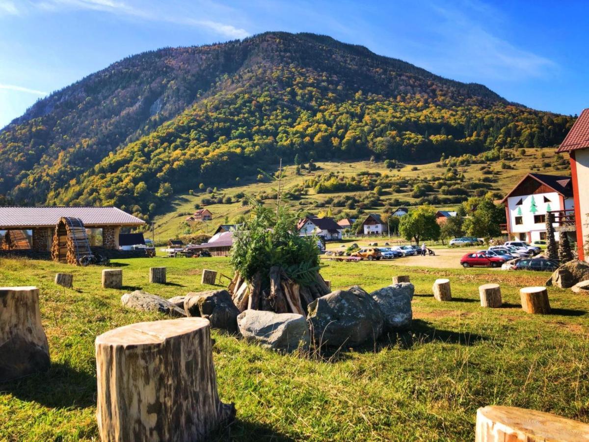 Pensiunea 3 Brazi Zărneşti 외부 사진