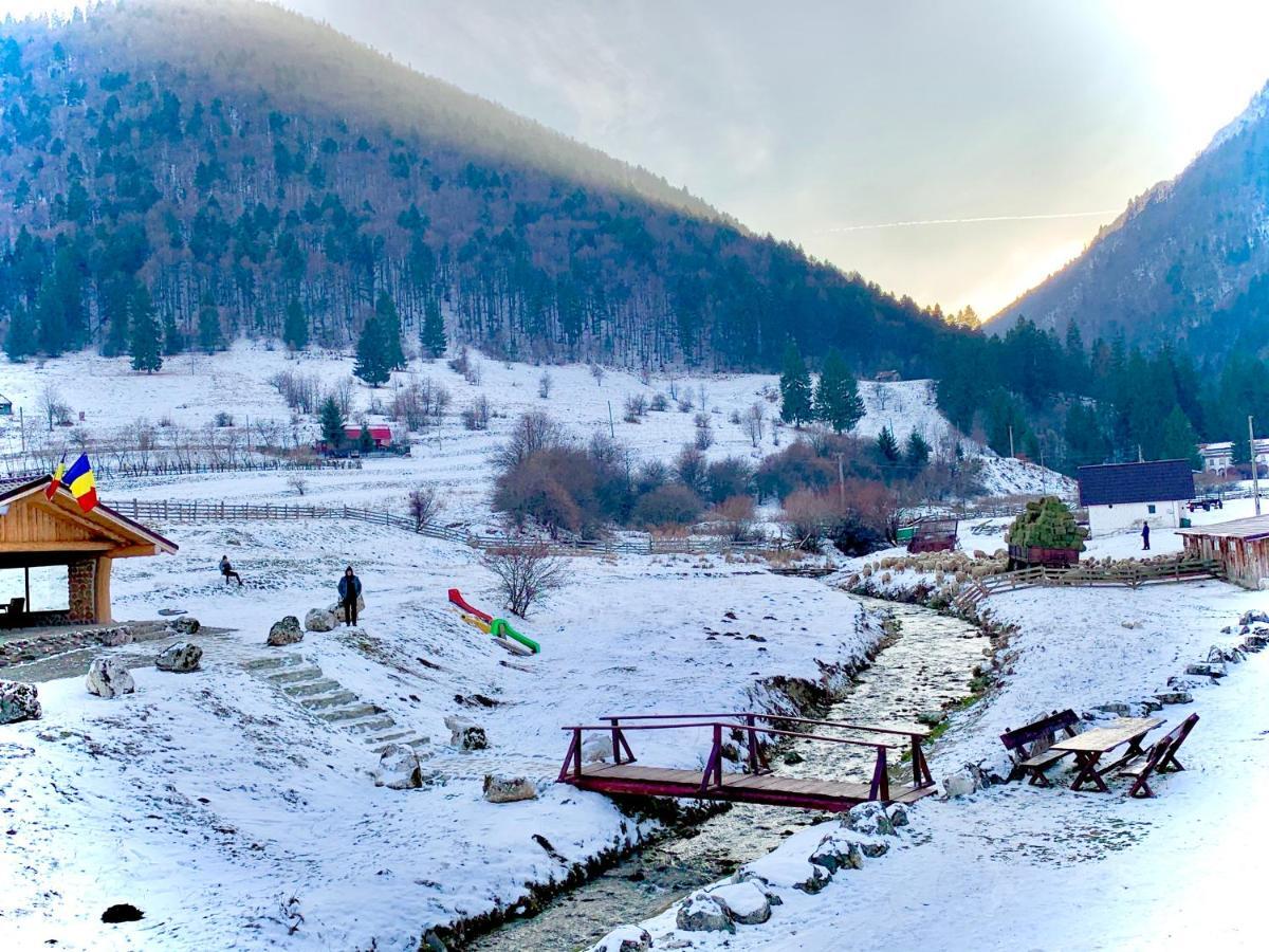 Pensiunea 3 Brazi Zărneşti 외부 사진